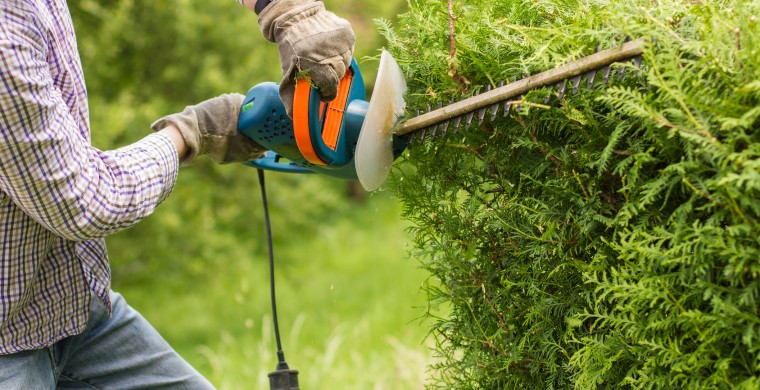 fingal insurance brokers landscaping insurance man with chainsaw cutting hedges
